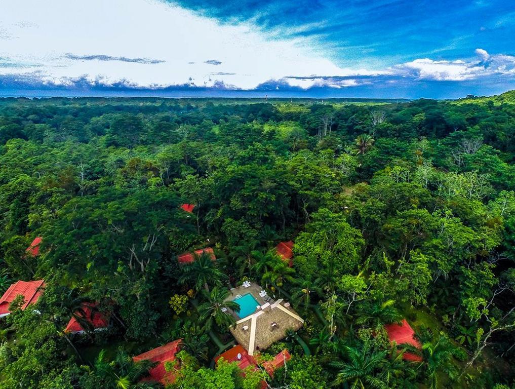 La Palapa Ecolodge Portalón Extérieur photo