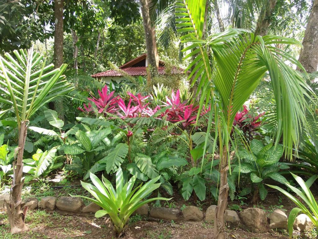 La Palapa Ecolodge Portalón Extérieur photo