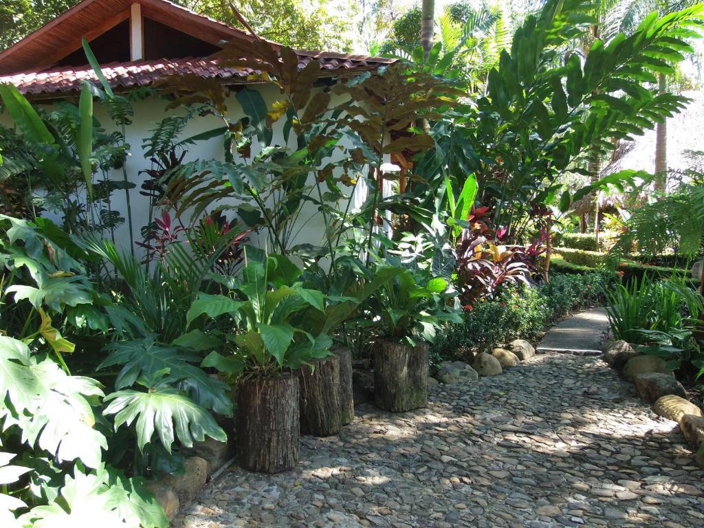 La Palapa Ecolodge Portalón Extérieur photo